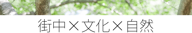 徳島県徳島市八万町内浜