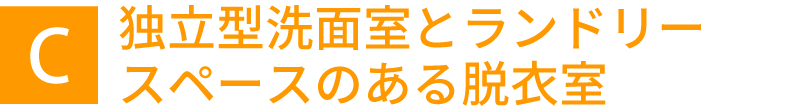 独立型洗面室とランドリースペースのある脱衣室
