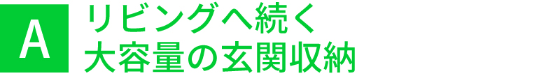 リビングへ続く大容量の玄関収納