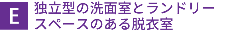 独立型の洗面室とランドリースペースのある脱衣室