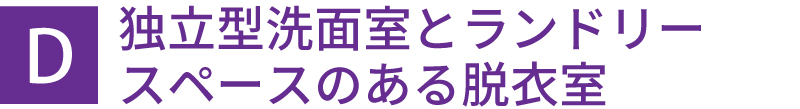 独立型洗面室とランドリースペースのある脱衣室