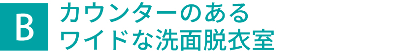 カウンターのあるワイドな洗面脱衣室