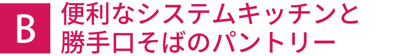 便利なシステムキッチンと勝手口そばのパントリー