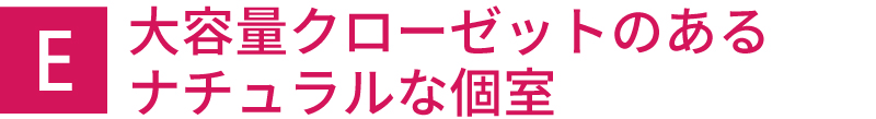 大容量クローゼットのあるナチュラルな個室
