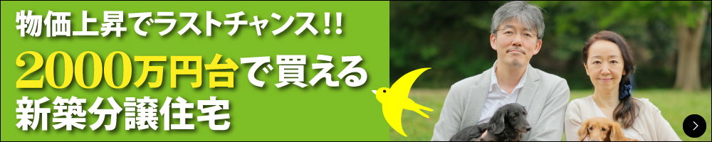 2,000万円台で買える！省エネ新築分譲住宅