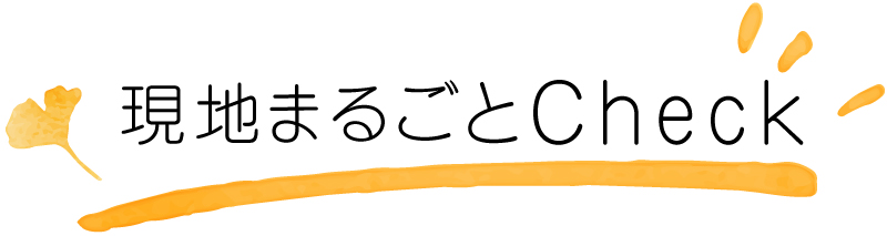 現地まるごとチェック