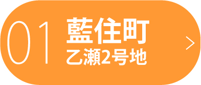 藍住町乙瀬2号地