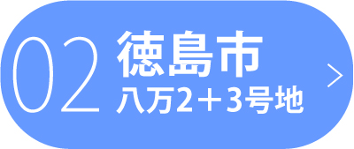 徳島市八万町2＋3号地