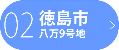 徳島市八万町9号地