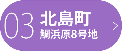 北島町鯛浜原8号地