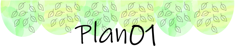 北島町中村宮北裏セットプラン