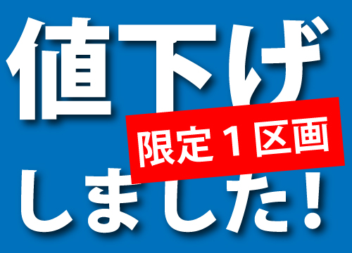 徳島市国府町府中橋本